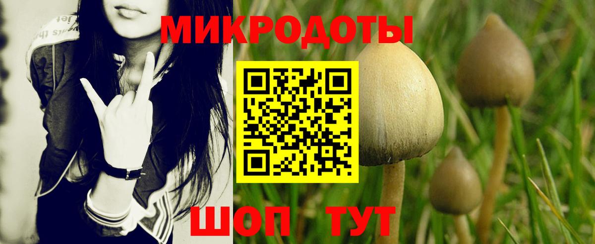 Псилоцибиновые грибы Magic Shrooms  Вход с VPN  Галлюциногенные грибы Psilocybine cubensis  Лесной 